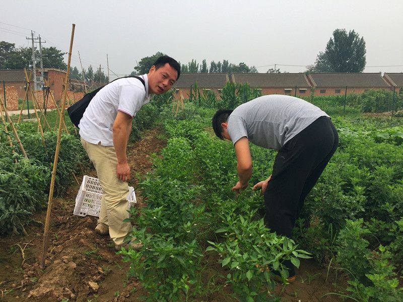 好利來郭總喊您來摘菜啦！綠色無公害，放心！